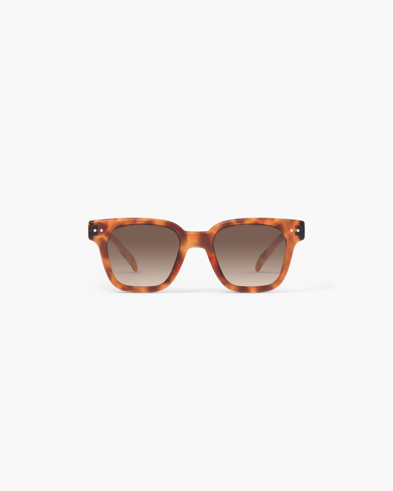 road Glossy Havane Polarized