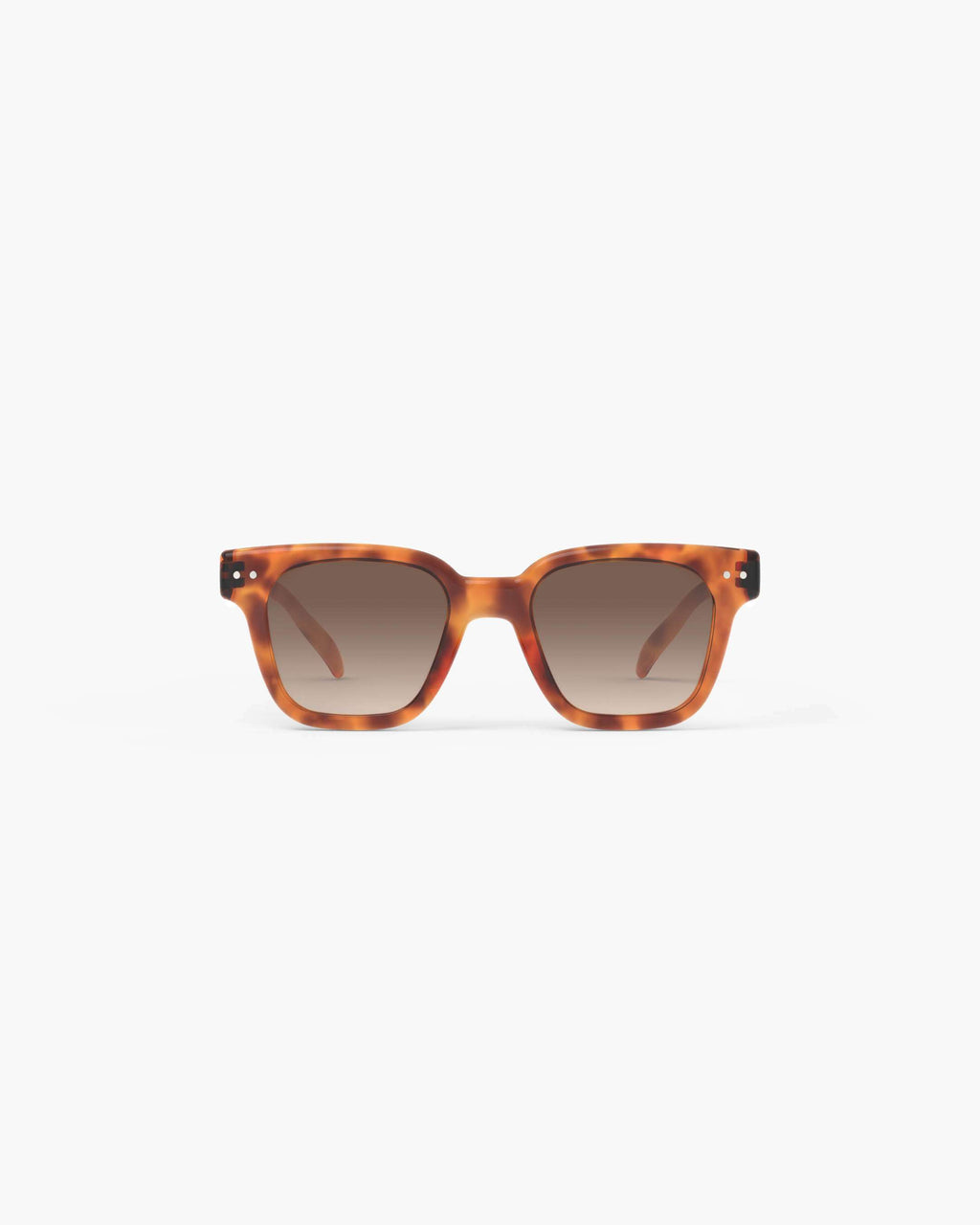 road Glossy Havane Polarized