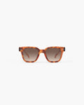 road Glossy Havane Polarized