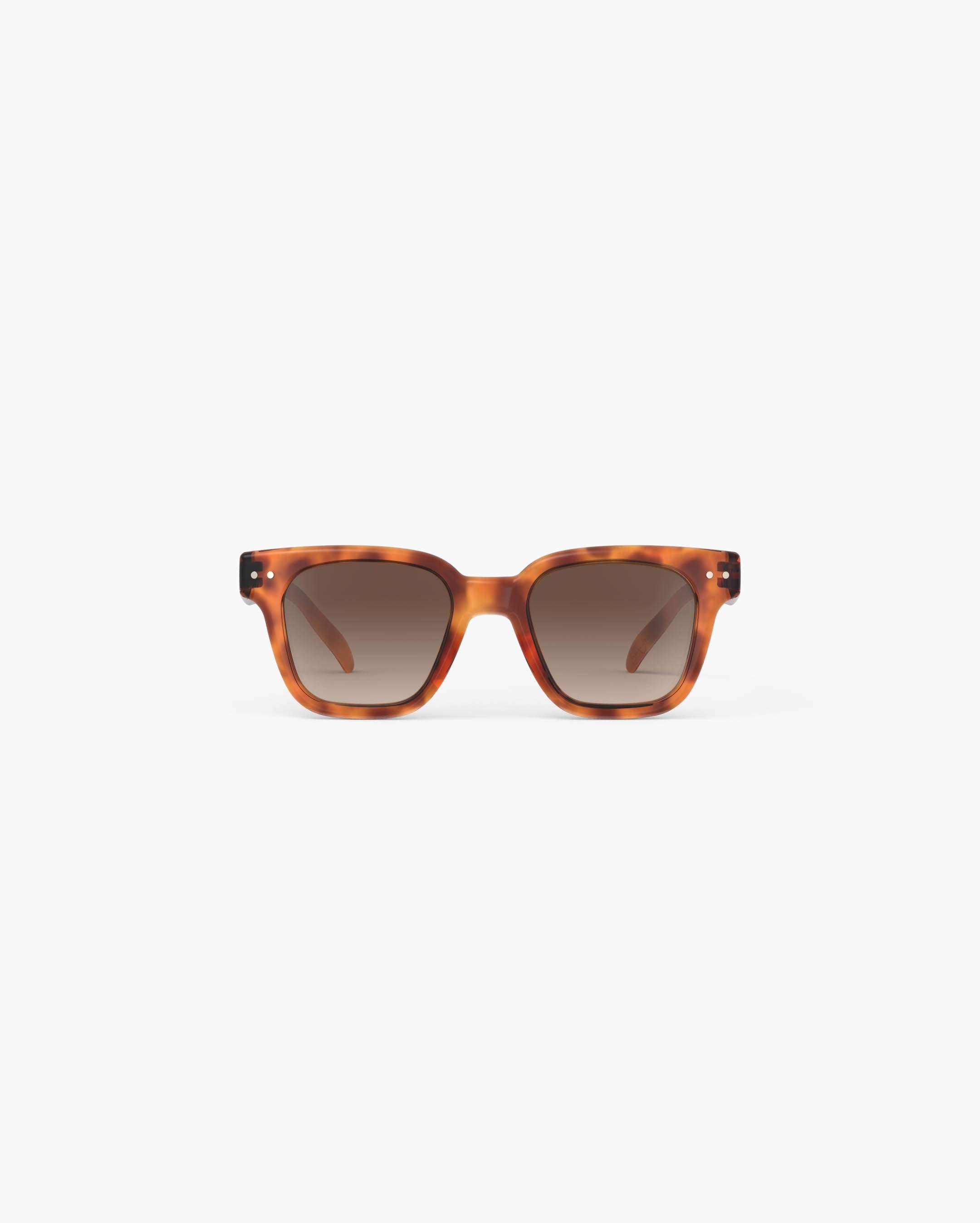 road Glossy Havane Polarized