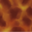 color_dot:https://files.plytix.com/api/v1.1/file/public_files/pim/assets/84/99/98/67/67989984f4a8aa00149c0c5e/images/8b/0b/b4/69/69b40b8b96bf8b75b8e6dd48/IZI_COLOR_LABEL_SS26_COLLAB_BONPOINT_GLOSSY_HAVANE.png