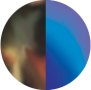 Tortoise Mirror