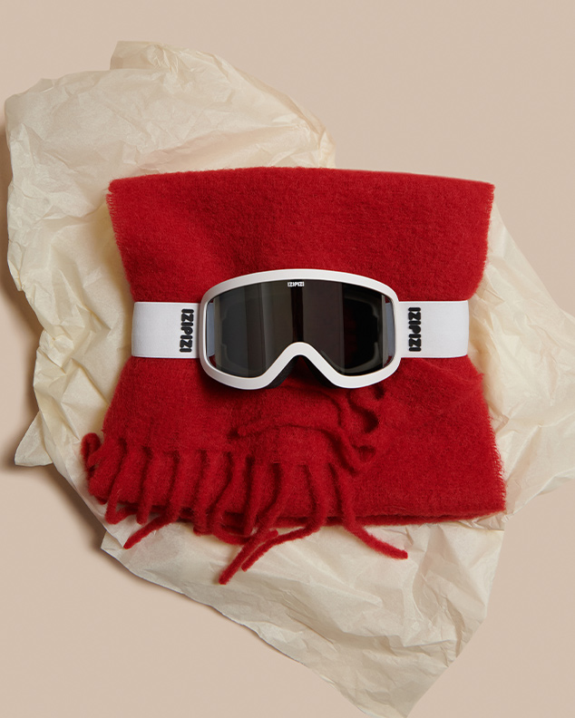 SKI GOGGLES