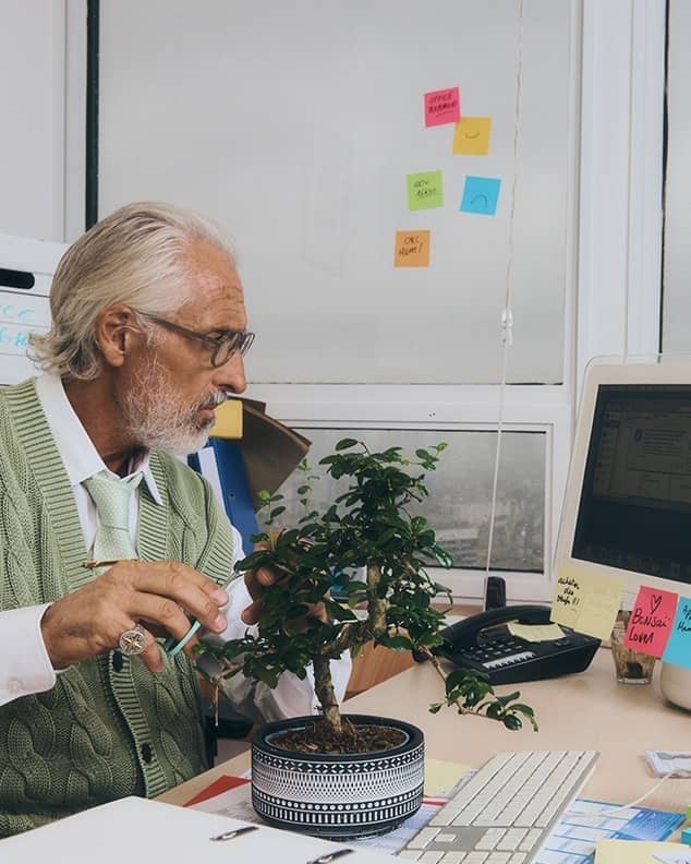 COLLEZIONE OFFICE PLAYGROUND
